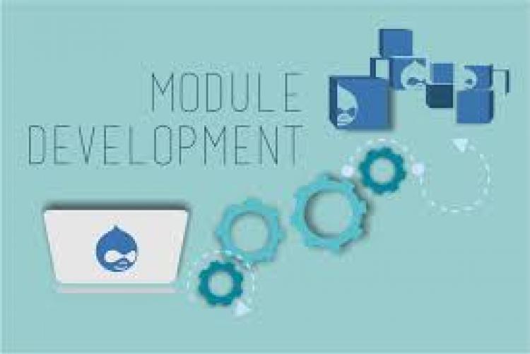 module development workshop