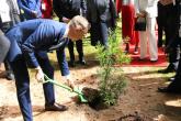 tree planting