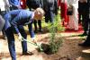 TREE PLANTING
